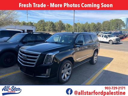 2019 Cadillac Escalade Palestine TX