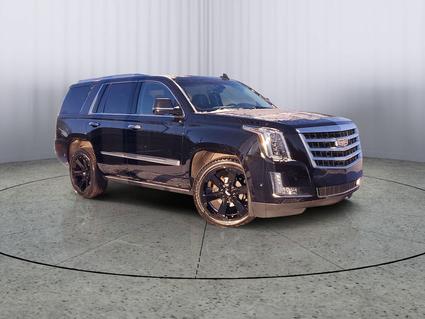 2020 Cadillac Escalade Kalamazoo MI