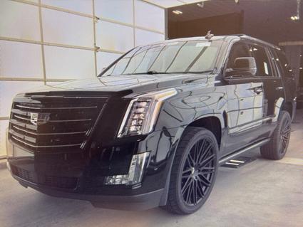 2018 Cadillac Escalade Daphne AL
