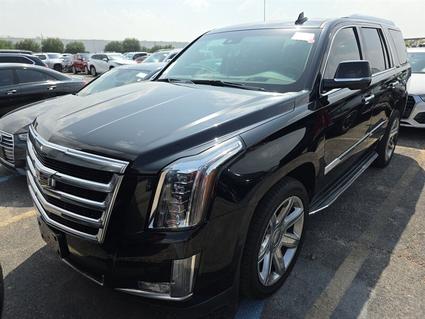 2015 Cadillac Escalade Wylie TX