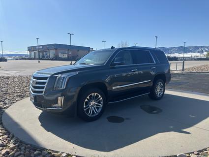 2019 Cadillac Escalade Casper WY