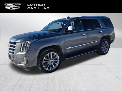 2019 Cadillac Escalade Saint Paul MN