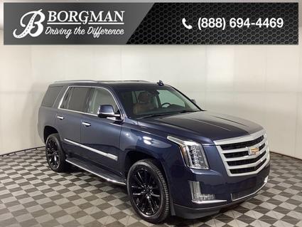 2019 Cadillac Escalade Grandville MI