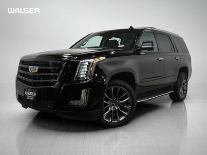 2019 Cadillac Escalade Minneapolis MN