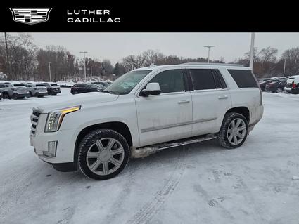 2017 Cadillac Escalade Saint Paul MN