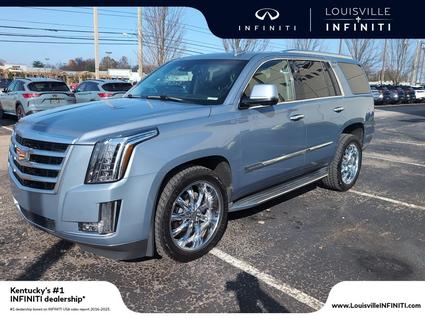 2016 Cadillac Escalade Louisville KY