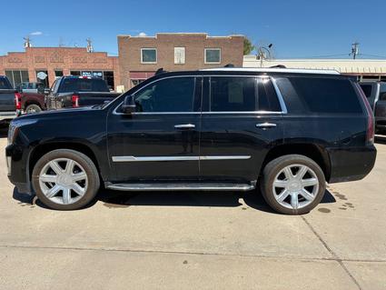 2019 Cadillac Escalade Cut Bank MT