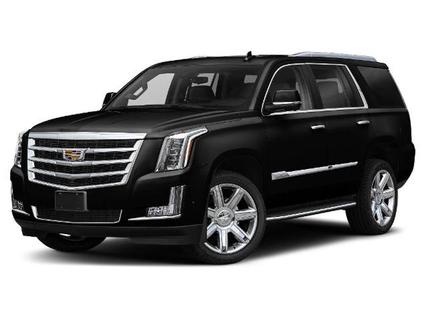 2019 Cadillac Escalade Cut Bank MT