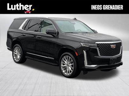 2024 Cadillac Escalade Minneapolis MN