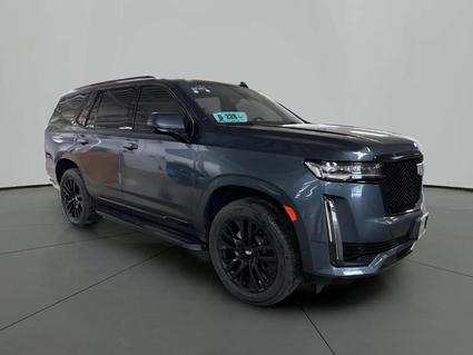 2021 Cadillac Escalade Pierre SD