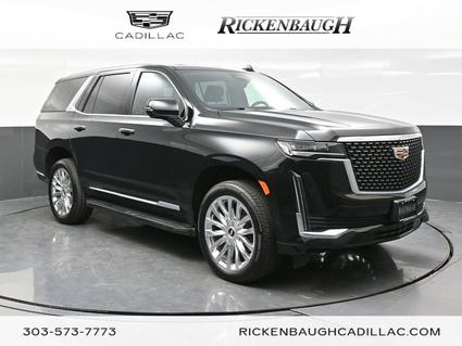 2024 Cadillac Escalade Denver CO