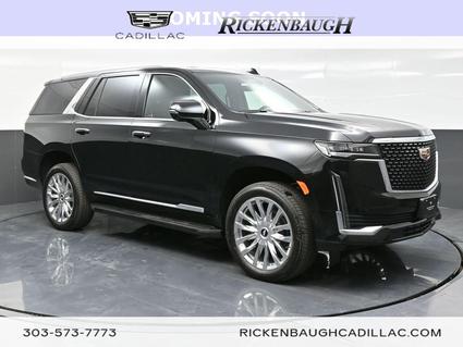 2024 Cadillac Escalade Denver CO