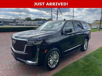 2024 Cadillac Escalade Toledo OH