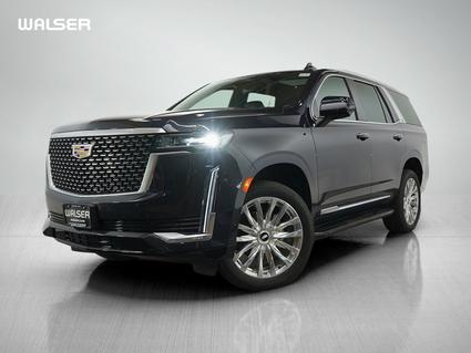 2023 Cadillac Escalade Burnsville MN