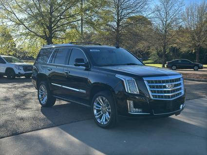 2019 Cadillac Escalade Brandon MS
