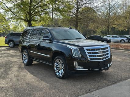 2019 Cadillac Escalade Brandon MS