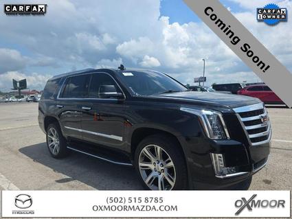 2018 Cadillac Escalade Louisville KY