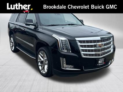 2020 Cadillac Escalade Minneapolis MN