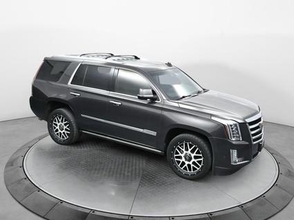 2017 Cadillac Escalade Dacono CO