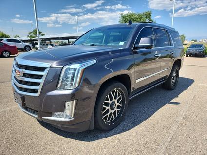 2017 Cadillac Escalade Dacono CO