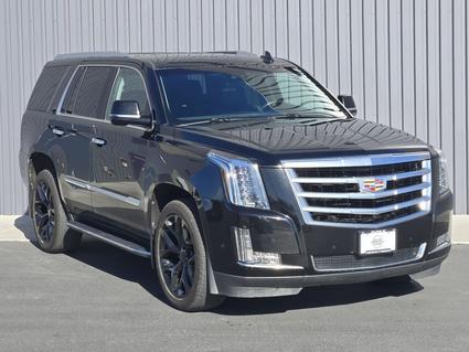 2019 Cadillac Escalade Billings MT