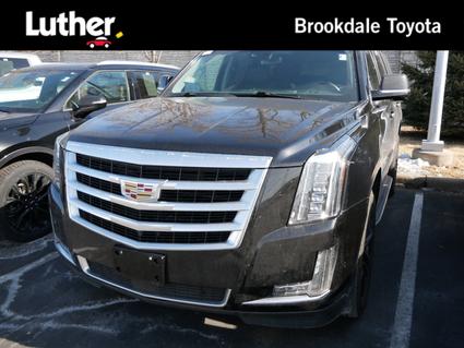 2019 Cadillac Escalade Minneapolis MN