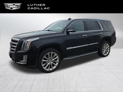 2019 Cadillac Escalade Saint Paul MN