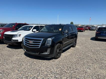 2020 Cadillac Escalade Laurel  MT