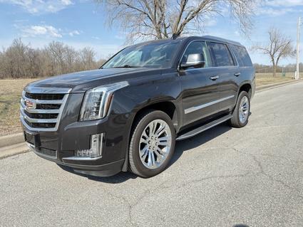 2019 Cadillac Escalade Carbondale IL