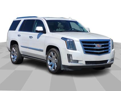 2017 Cadillac Escalade Billings MT