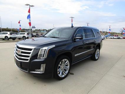 2019 Cadillac Escalade Effingham IL