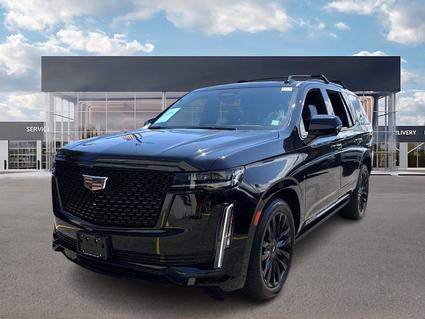 2024 Cadillac Escalade Long Island City NY