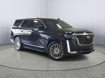 2021 Cadillac Escalade Kalamazoo MI