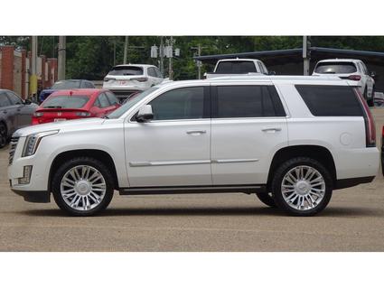 2017 Cadillac Escalade Tupelo MS