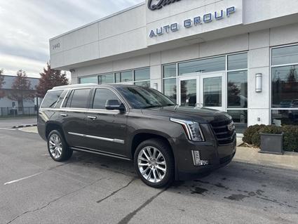 2020 Cadillac Escalade Lexington KY