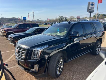 2019 Cadillac Escalade Columbia TN