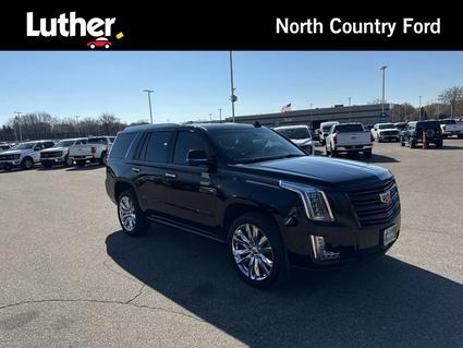 2020 Cadillac Escalade Minneapolis MN