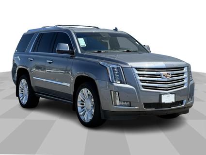 2019 Cadillac Escalade Billings MT