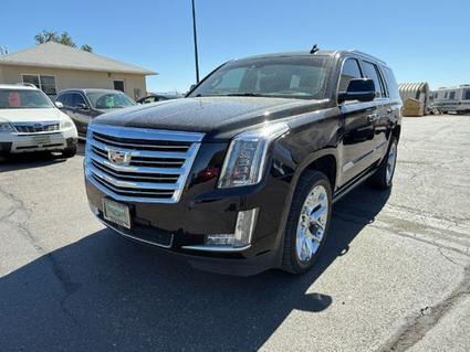 2016 Cadillac Escalade Idaho Falls ID