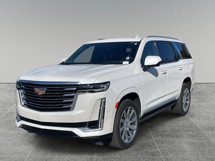 2024 Cadillac Escalade Atlanta GA