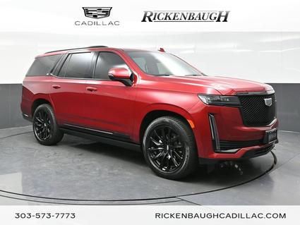 2023 Cadillac Escalade Denver CO
