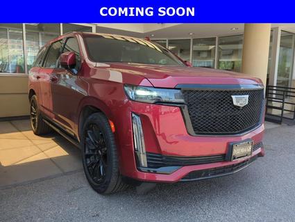 2023 Cadillac Escalade Denver CO