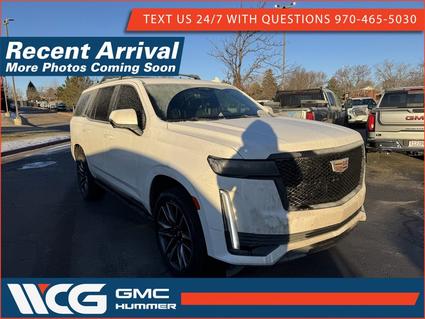 2024 Cadillac Escalade Greeley CO