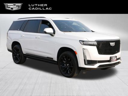 2023 Cadillac Escalade Saint Paul MN