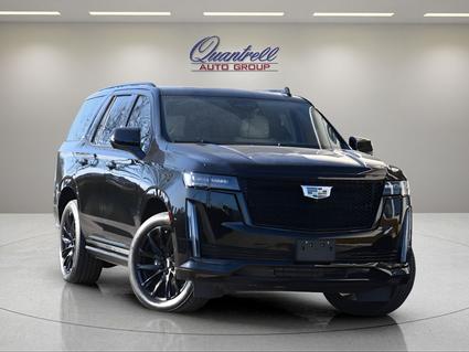 2023 Cadillac Escalade Lexington KY