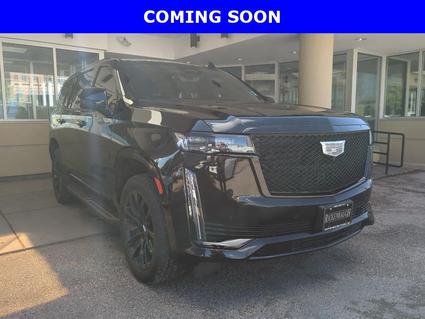 2023 Cadillac Escalade Denver CO