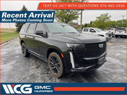 2023 Cadillac Escalade Greeley CO