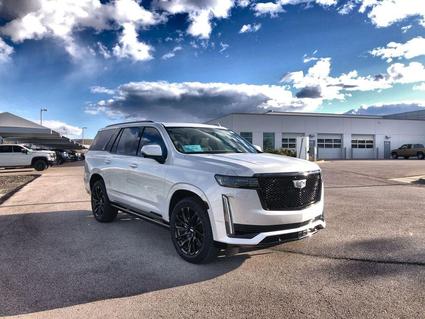 2024 Cadillac Escalade Rapid City SD