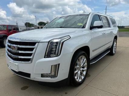 2020 Cadillac Escalade ESV Salem IL