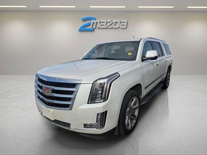 2019 Cadillac Escalade ESV Loveland CO